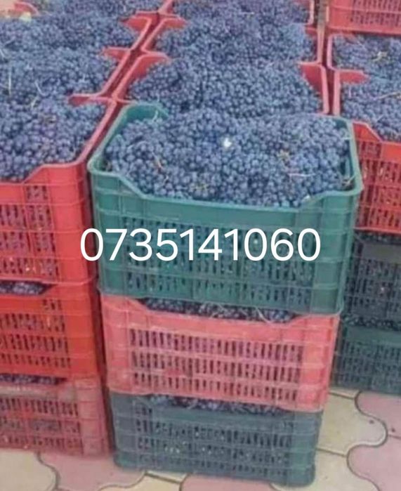 Aducem spre vânzare struguri de vin