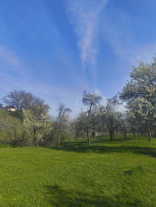 Casa de cărămidă + teren, sat Brătești comuna Albești la 25 de minute de Curtea de Argeș!