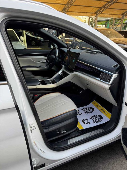 BYD CHampion Song plus 2023й 605талик