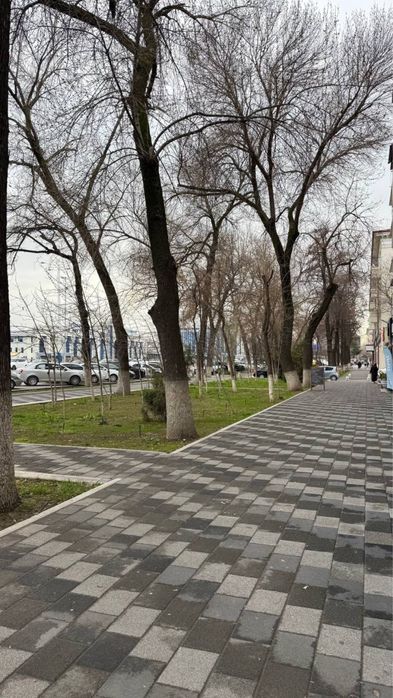 Аренда под офис клиника  ор: Северный вокзал Первая линия