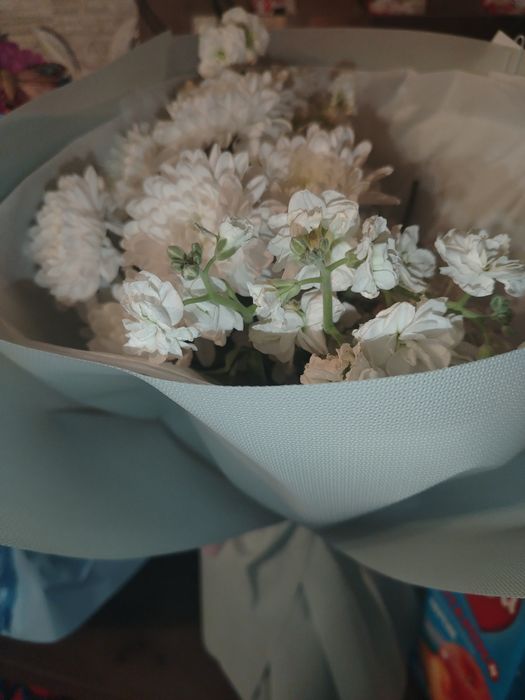 Продам цветы от 4000тыс