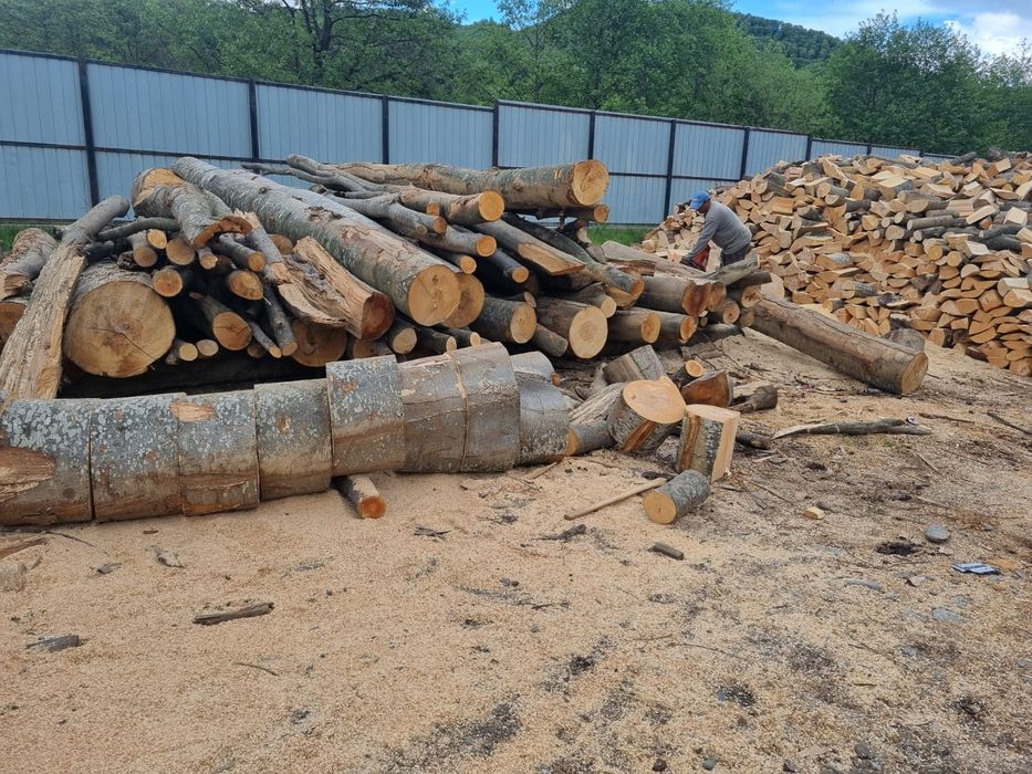 Vând lemn de foc calitate premium