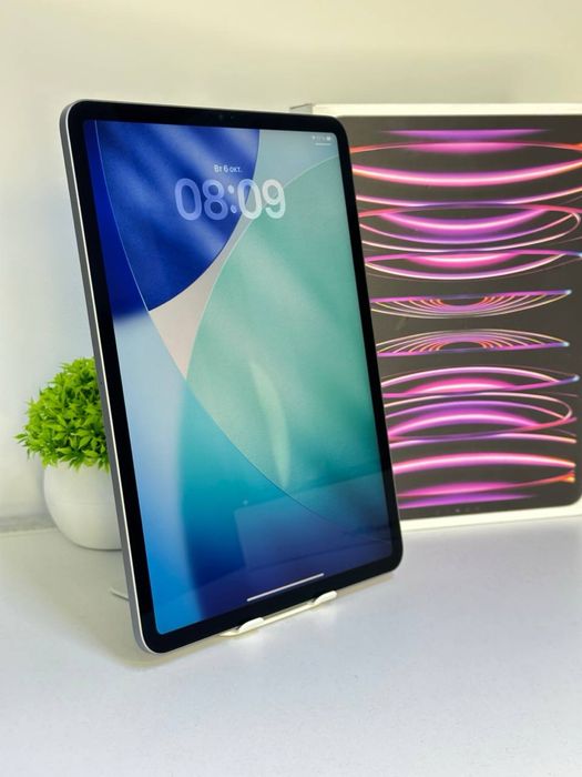 iPad Pro / 11-inch / (2022) / 256gb