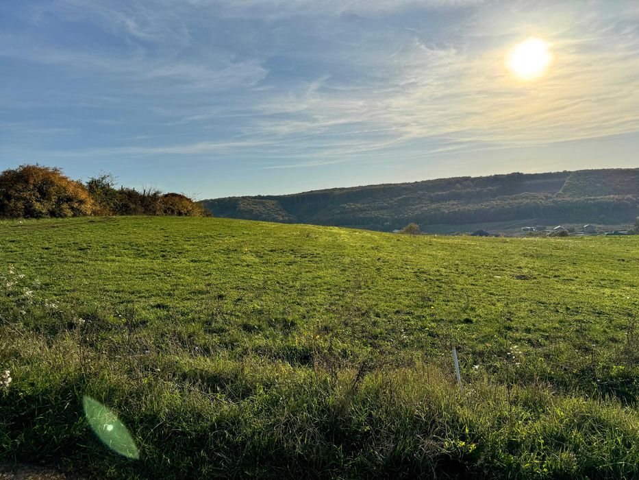 Teren intravilan 5487 mp în localitatea Betfia, comuna Sânmartin
