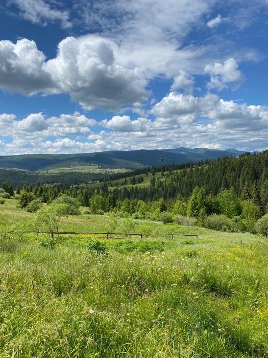 Teren de vânzare – Beliș, zona Dealu Botii, județul Cluj  Vând teren cu suprafață totală de 17.000 mp.