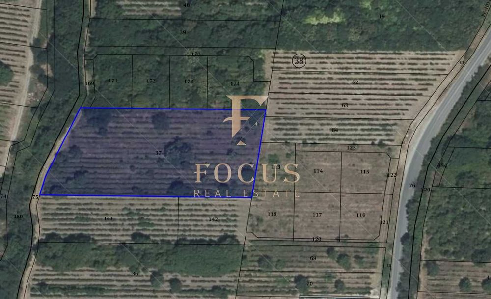 Продава се Земеделски имот в с. Марково, Област Пловдив -  кв.м за 61000 €/дка - Снимка #1