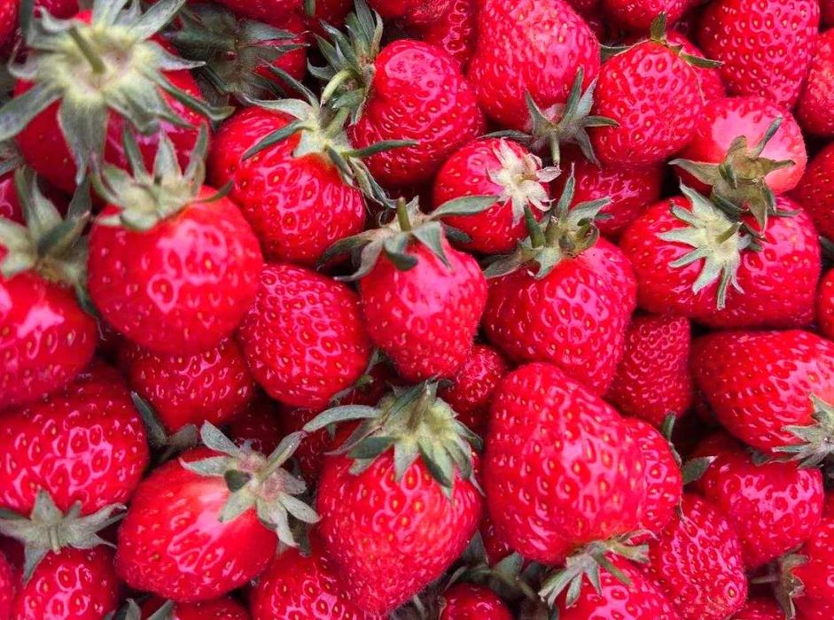 Свежая клубника корейский сорт "Солхиян"