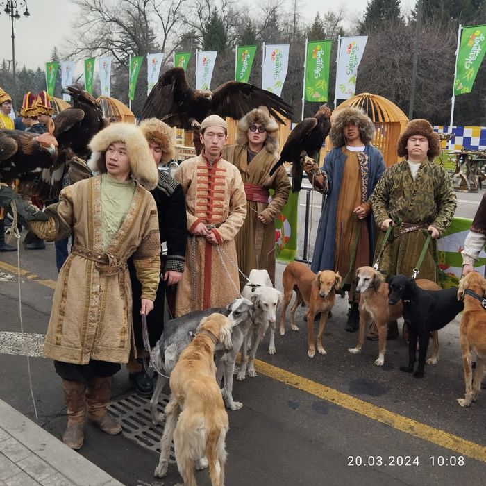 Беркут Наурыз  Юрта