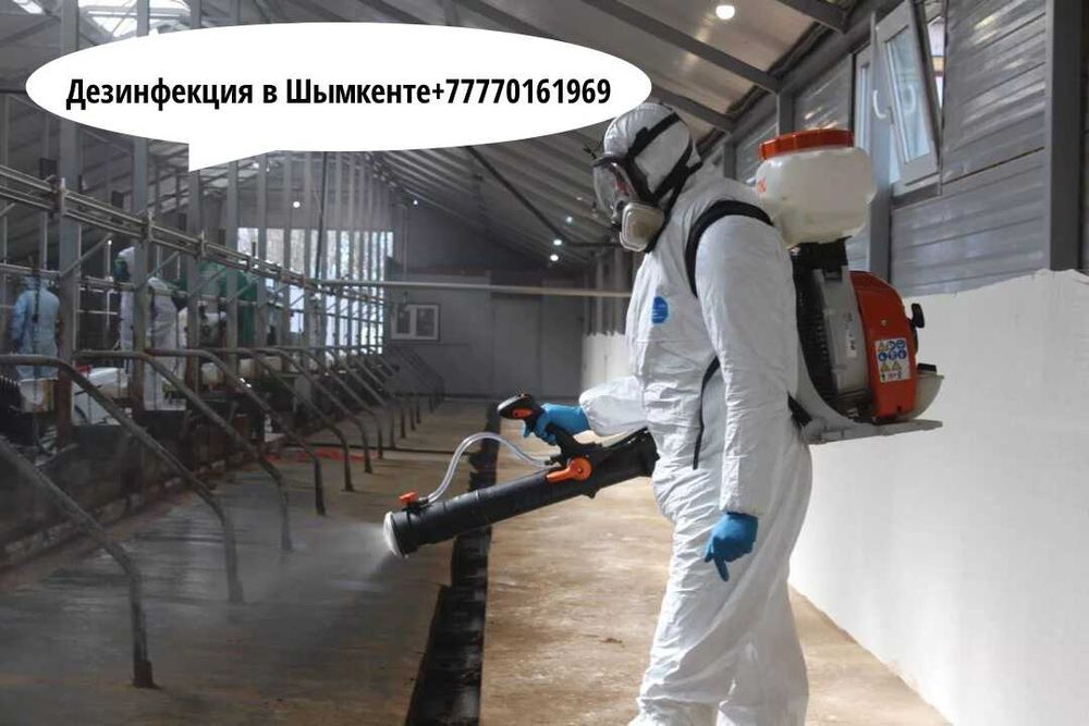 Шымкент дезинфекция