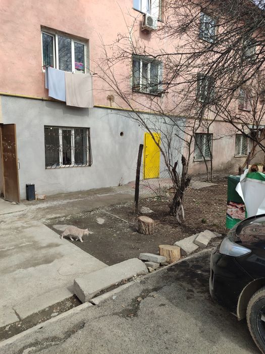 Коммерческое помещение