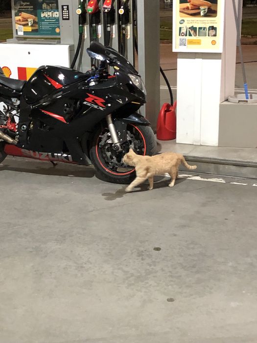 Suzuki gsxr 600 K2  Сузуки  К2 , 600. Двигатела няма компресия!