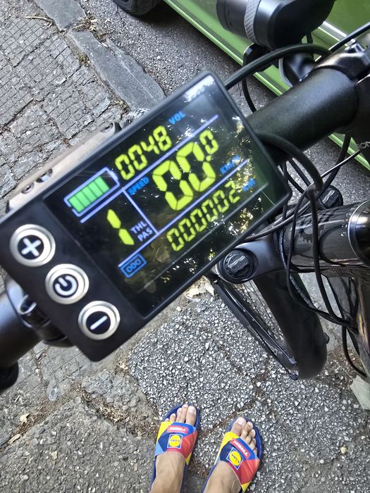 Електрическо колело 29 цола с ръчна газ