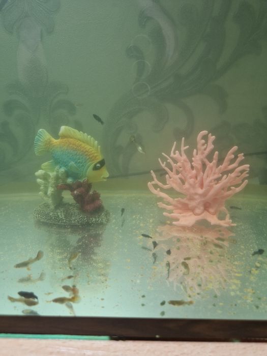 Продается аквариум с рыбками и с компрессором