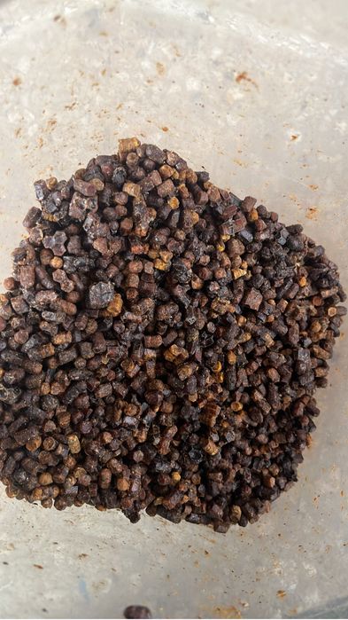 Перга( пчелинный хлеб)