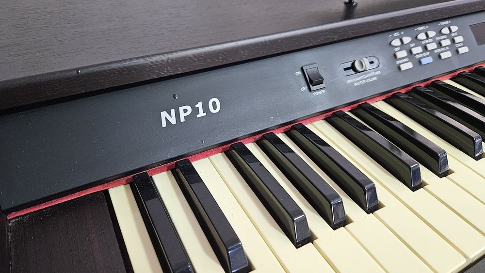 Vand Pian cu aranjor Delson NP10