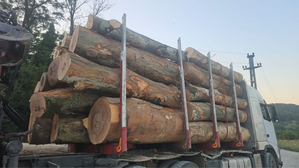 Lemn de foc FAG – Calitate premium!