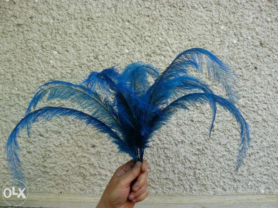Vand Pene de strut.