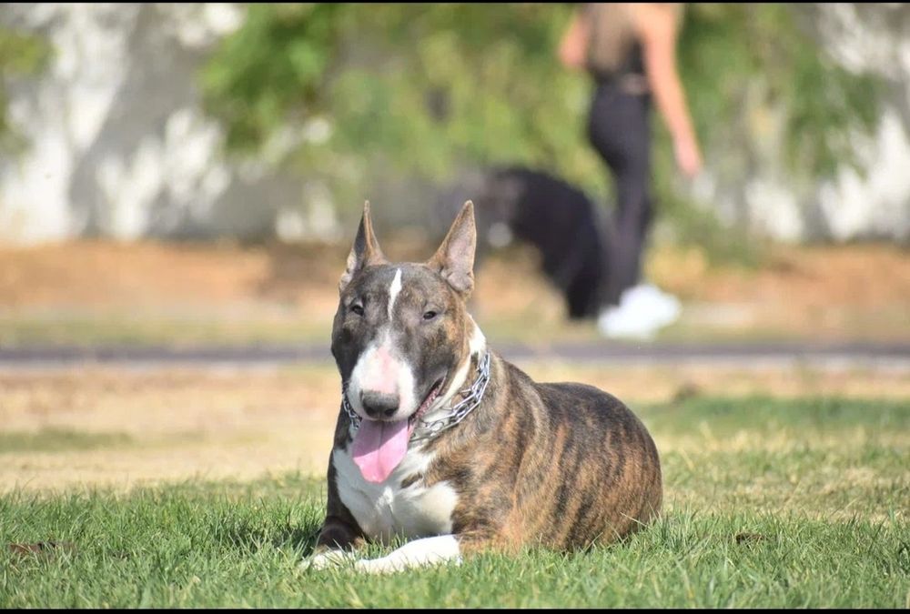 Открыт для вязок