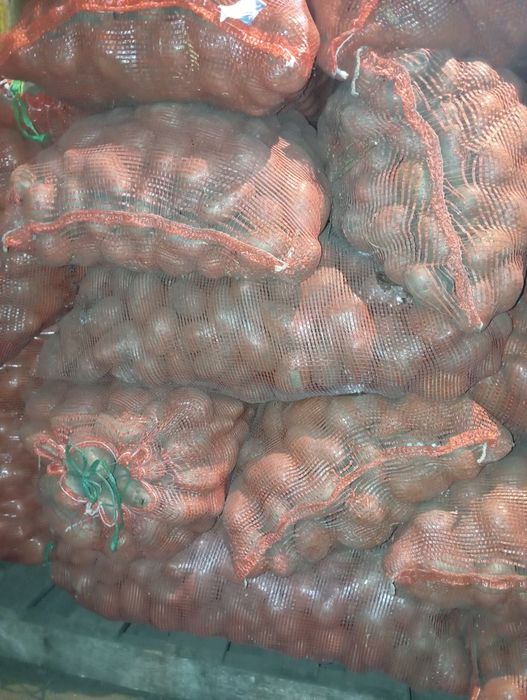 Продам картофель.