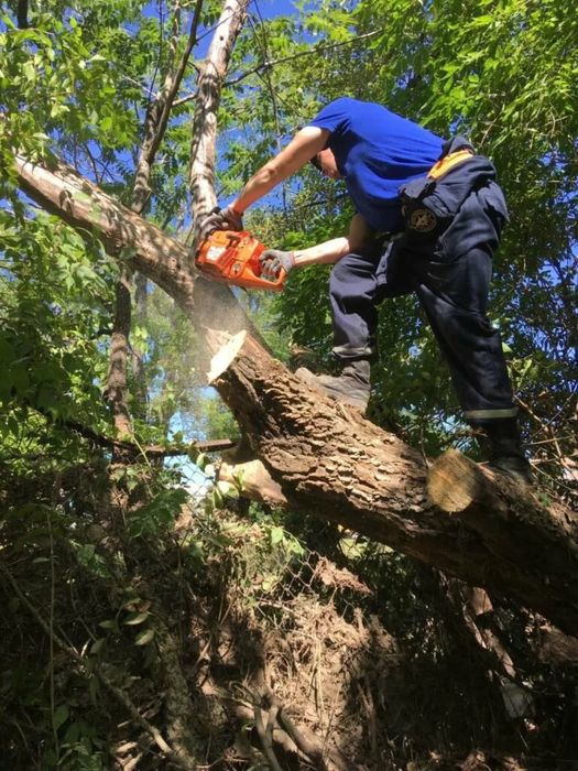 Спил деревьев уборка територии