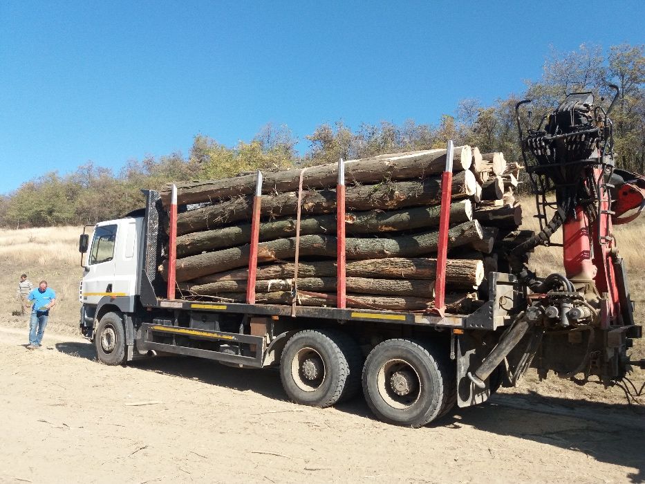 Lemn foc fag si alte diverse tari (acceptam vauchere)