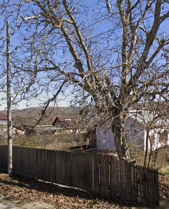 Vand casa Davidesti