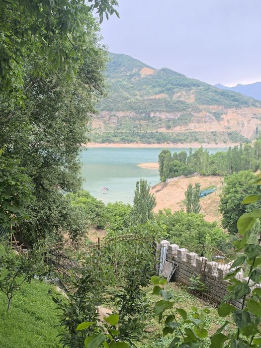 Сижжак кишлогида су́в бу́йида дача ва уйлар сотилади 1 сотихи