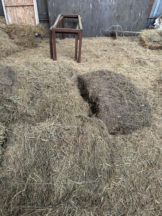 Бірінші орым шөп шашылған