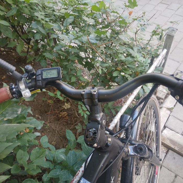 Bicicleta electrică Classywalk