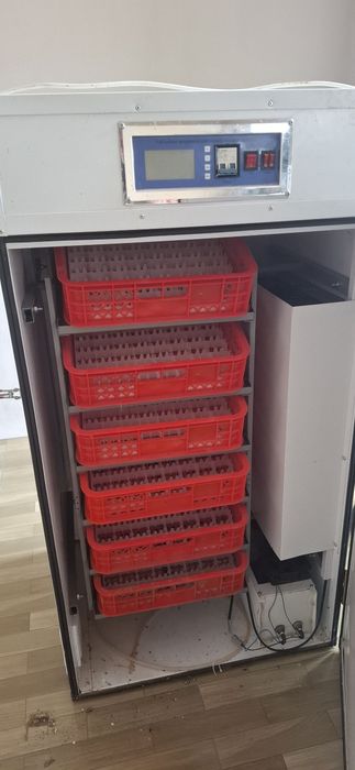 Инкубатор 500 майек