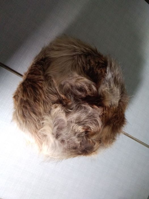 Шапка лисья мужская