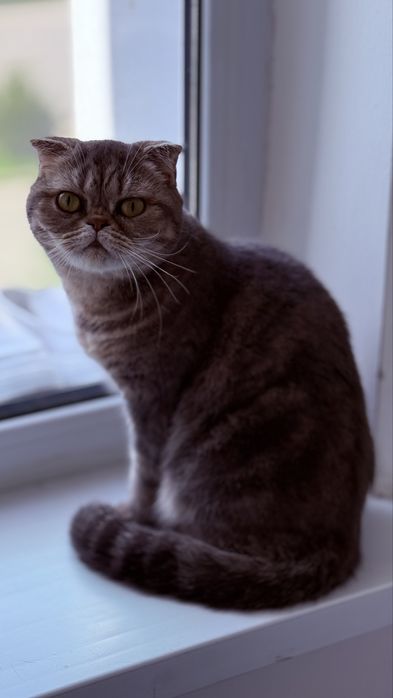 ………………………………………………….