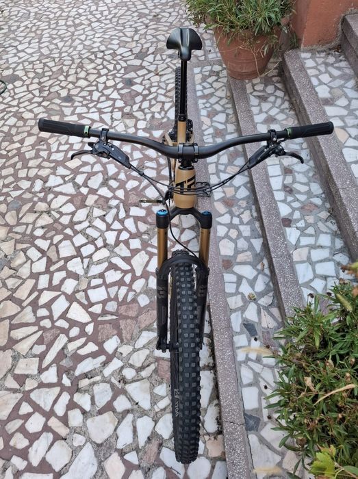 Transition Sentinel Carbon