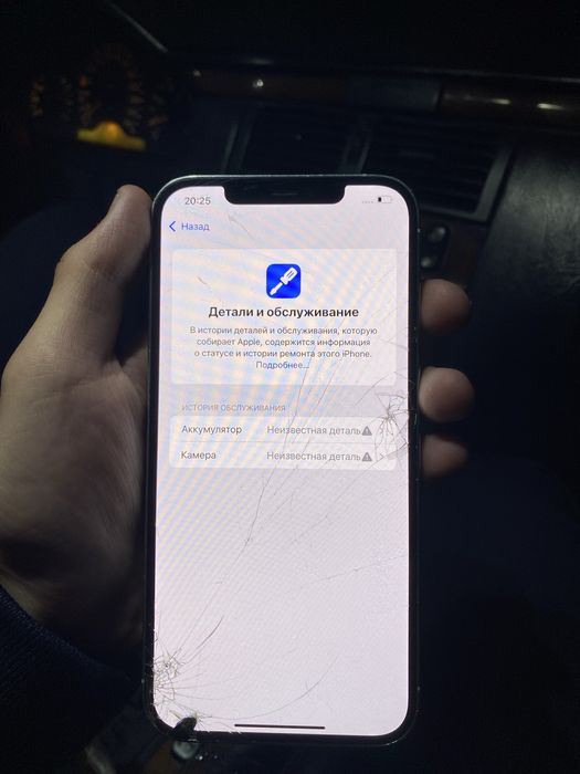 iPhone 12 Pro Max 256 GB