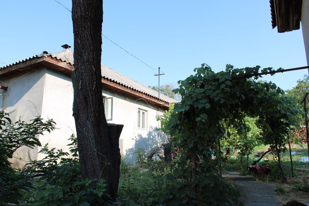 Casa vânzare Babadag