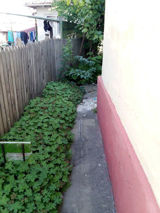 Продава се Къща в Силистра, Център - 254 кв.м за 321 €/кв.м - Снимка #2