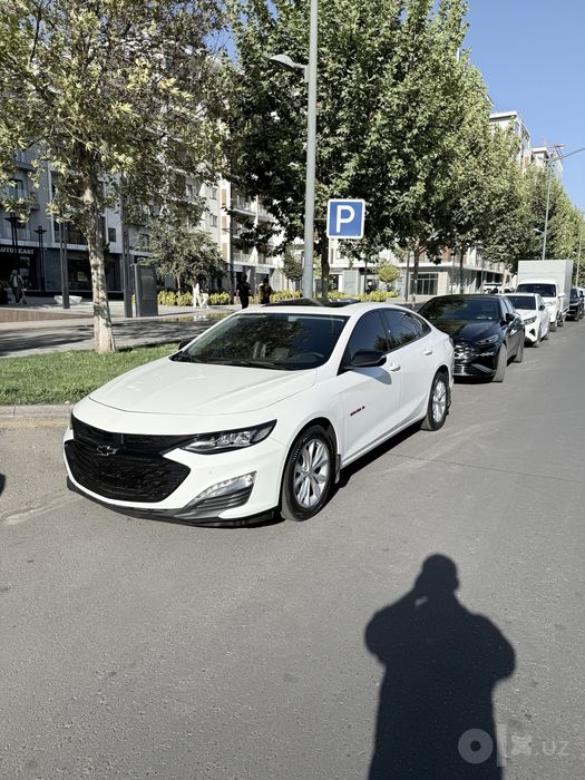 Malibu XL 2023 oq tozza