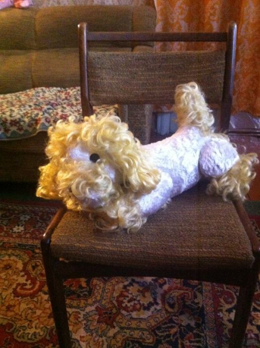 собака спаниель плюшевый белого цвета с светло желтыми ушами-СССР