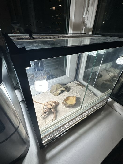 Террариум для геккона