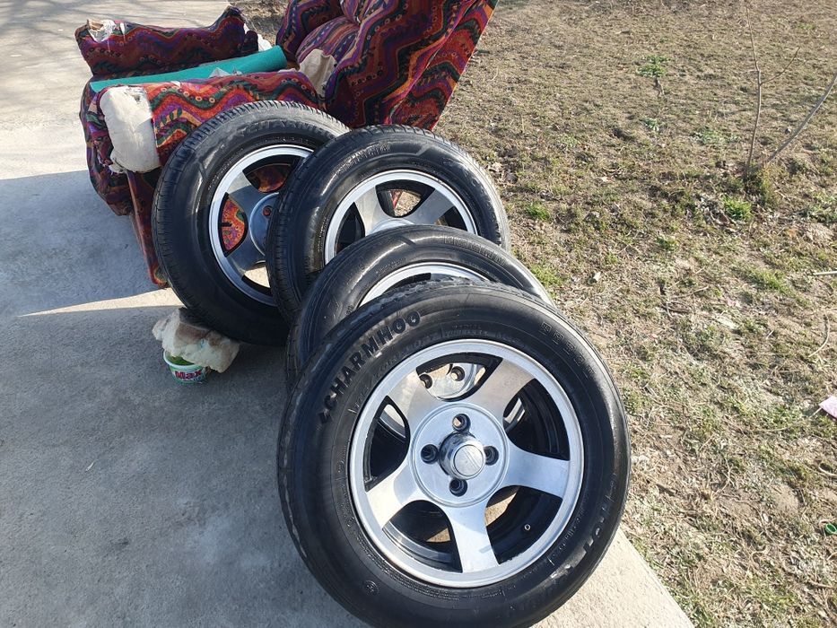 Черепаха diska R13