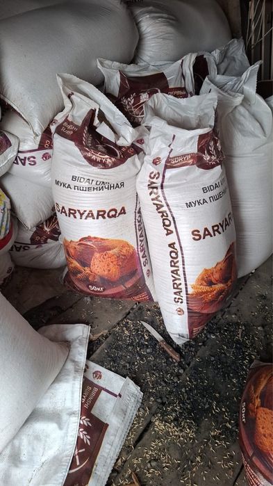 Продам овес чистый