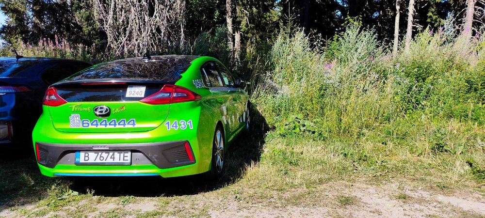 Hyundai Ioniq 2019