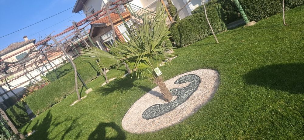 Тревен чим, Озеленяване