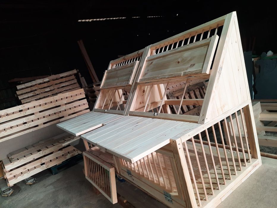 Sputnic/ intrare porumbei