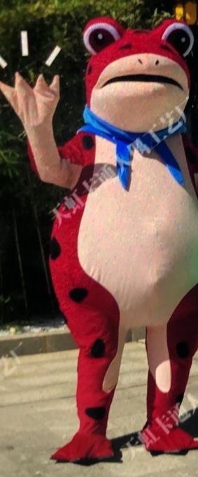 Продам дёшево бизнес ростовую куклу  на продажу шариков- лягушек