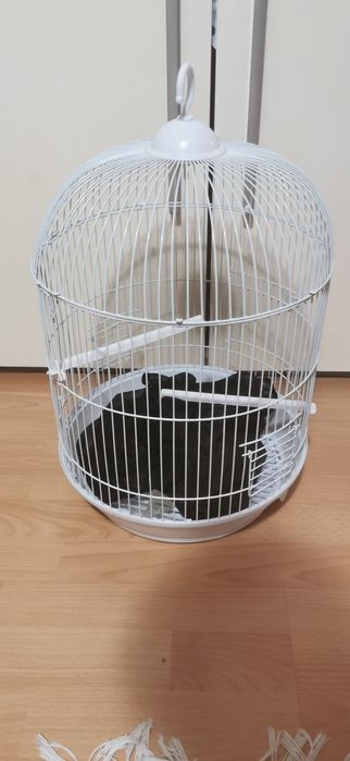 Vând colivie papagali