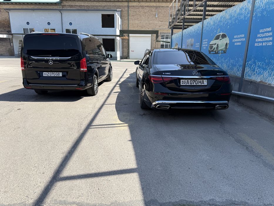 Kortej vito  Viano Mersides bens  Gelik