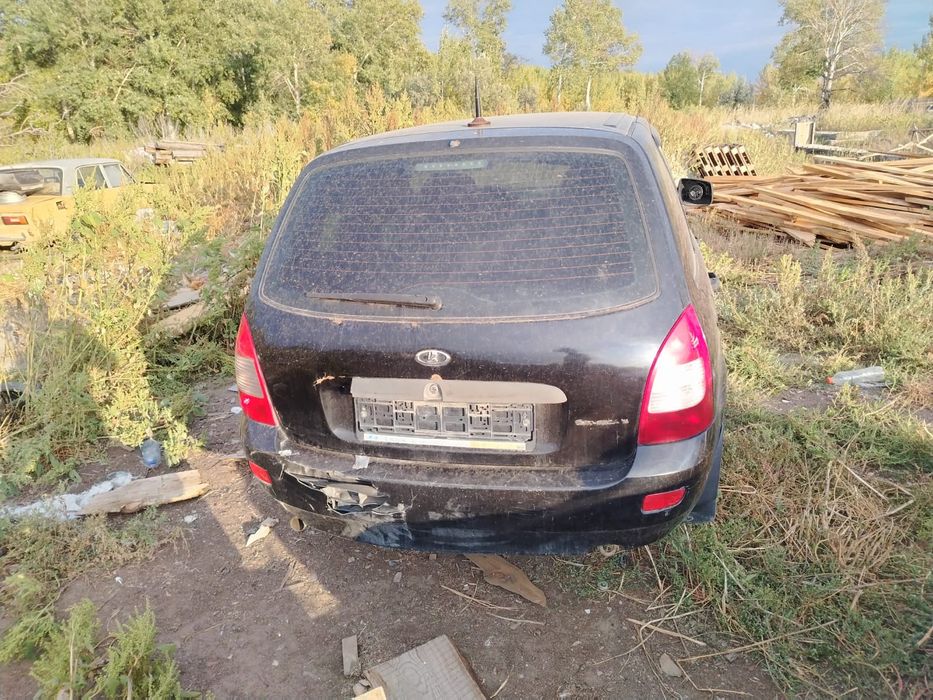 Калина полный разбор