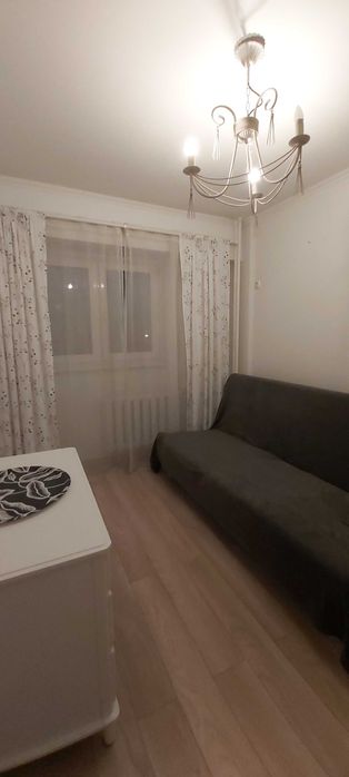 Stefan cel Mare, Central, Parcul Circului