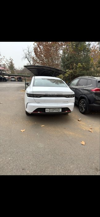 Other Chazor 2024 — 2